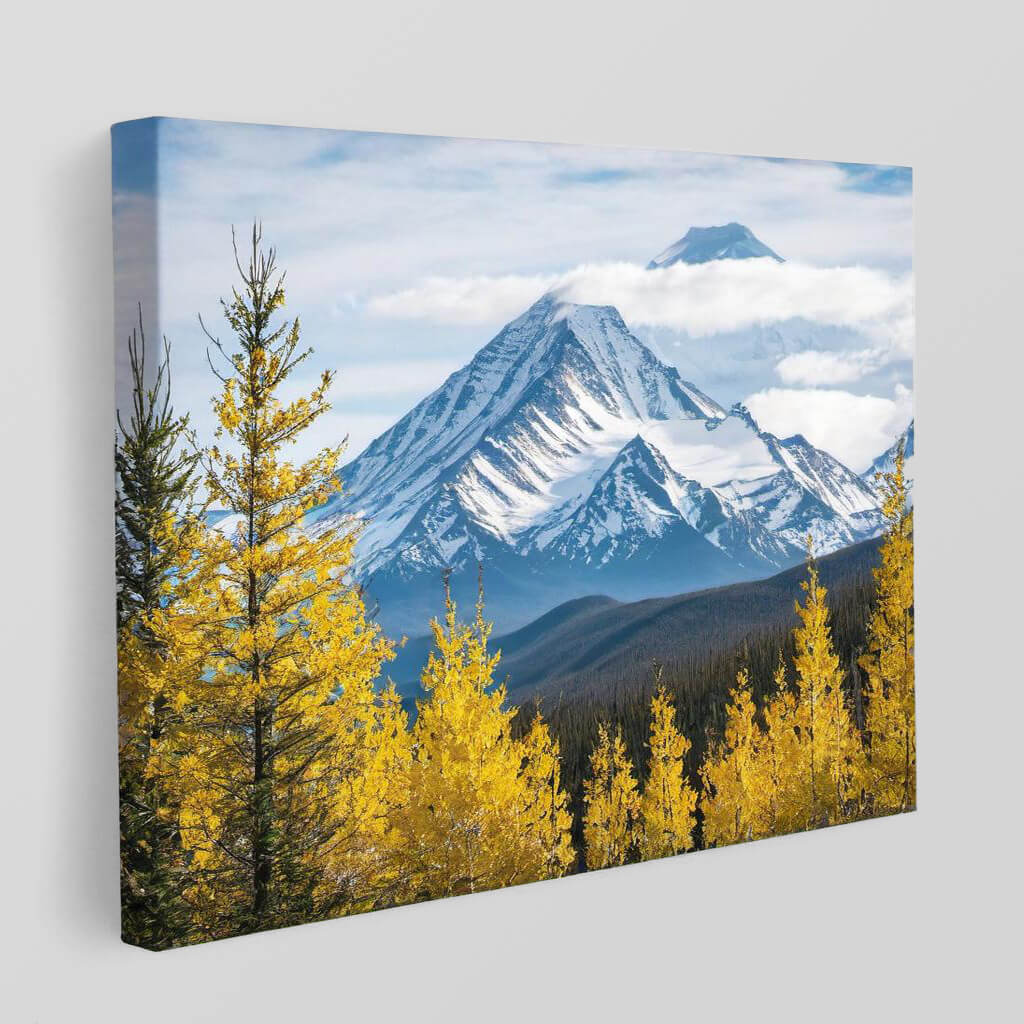 ManPrint-Canvas-print-c